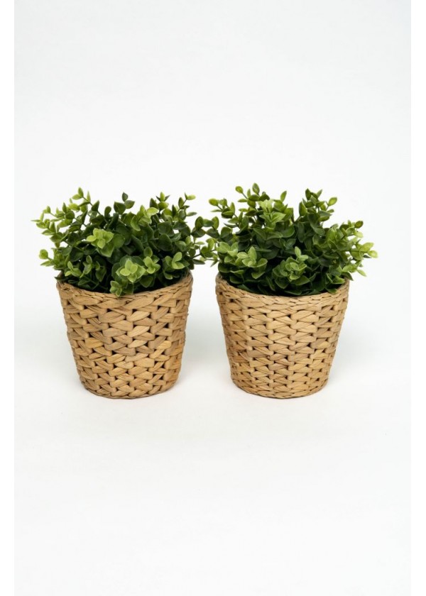 [RENTAL] Set of 2 Faux Plant in Rattan Pot Holder $4.00