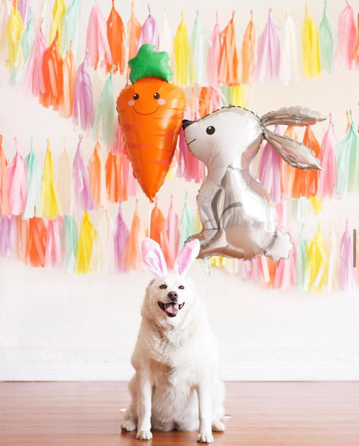 Animal Design Balloon Decoration