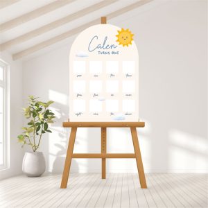 Baby Photo Milestone Board - Sunny Day