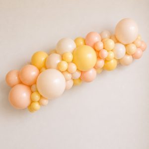 [Organic Balloon Garland] Lemon Sorbet
